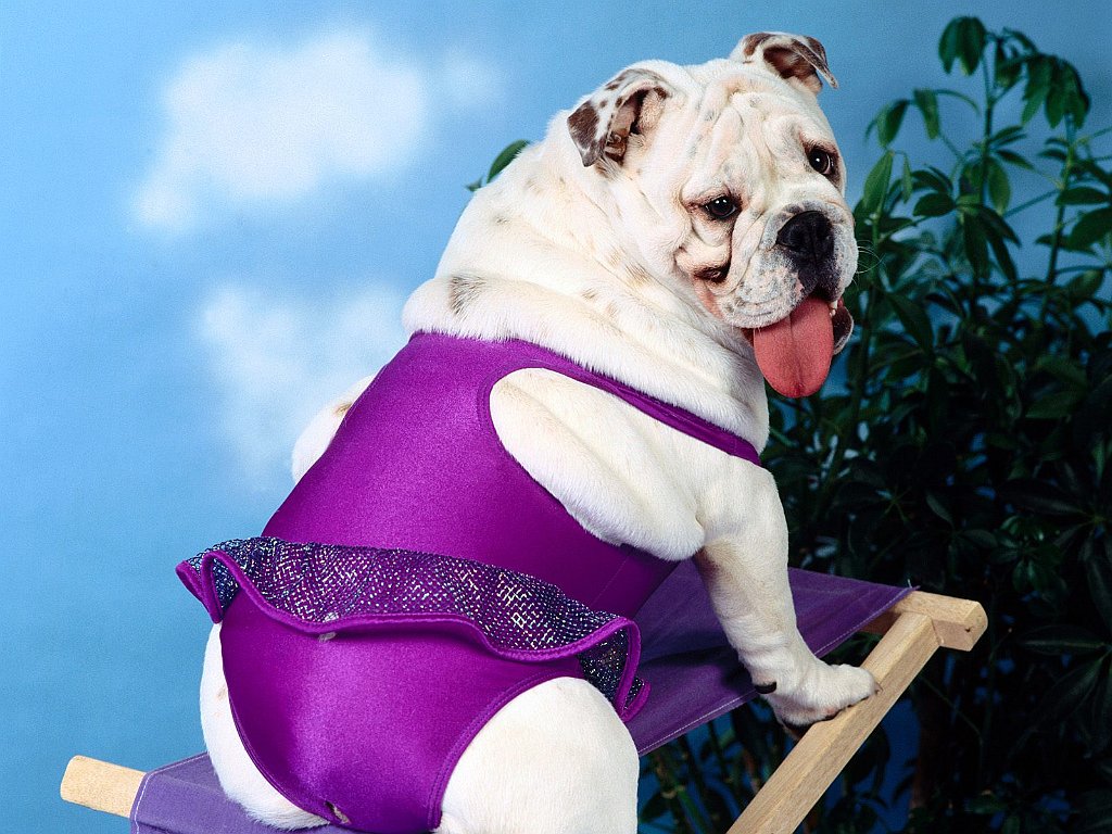 Bathing Beauty